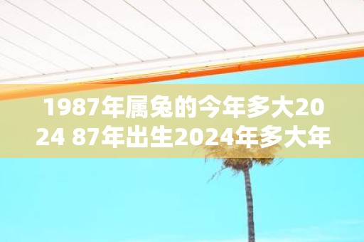 1987年属兔的今年多大2024 87年出生2024年多大年龄