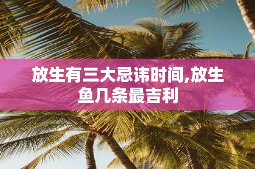 放生有三大忌讳时间,放生鱼几条最吉利