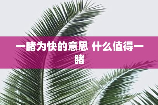 一睹为快的意思 什么值得一睹