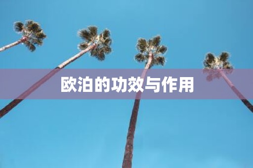 欧泊的功效与作用