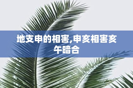 地支申的相害,申亥相害亥午暗合