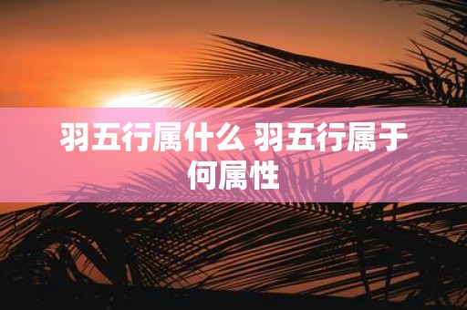 羽五行属什么 羽五行属于何属性