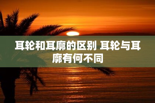 耳轮和耳廓的区别 耳轮与耳廓有何不同