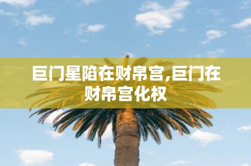 巨门星陷在财帛宫,巨门在财帛宫化权