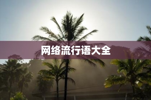 网络流行语大全