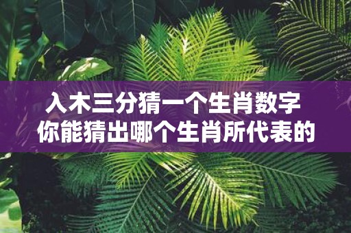 入木三分猜一个生肖数字 你能猜出哪个生肖所代表的数字深入人心呢