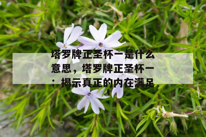 塔罗牌正圣杯一是什么意思，塔罗牌正圣杯一：揭示真正的内在满足