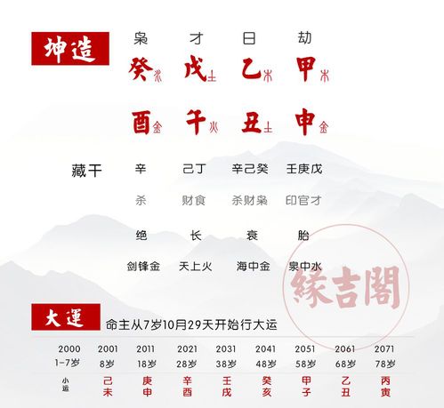 乙木女八字分析