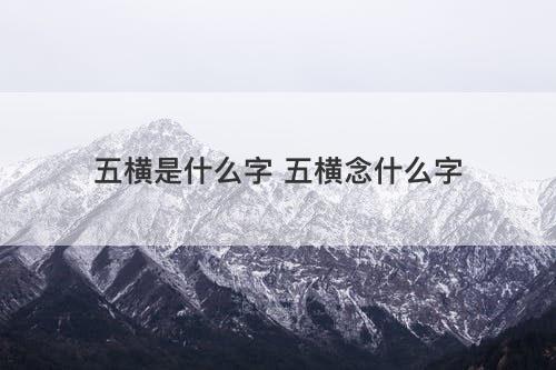 五横是什么字 五横念什么字