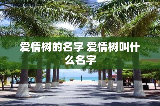 爱情树的名字 爱情树叫什么名字