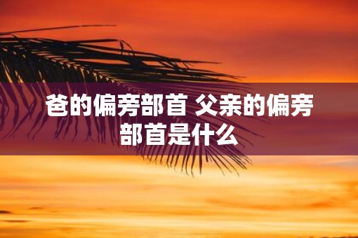 爸的偏旁部首 父亲的偏旁部首是什么