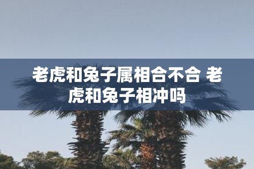 老虎和兔子属相合不合 老虎和兔子相冲吗