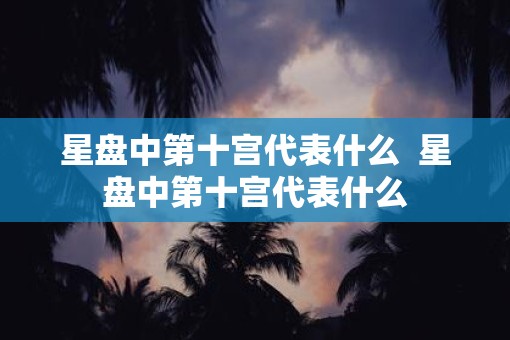 星盘中第十宫代表什么  星盘中第十宫代表什么