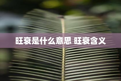 旺衰是什么意思 旺衰含义