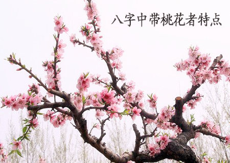 八字中带桃花者特点.jpg