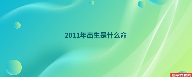 2011年出生是什么命