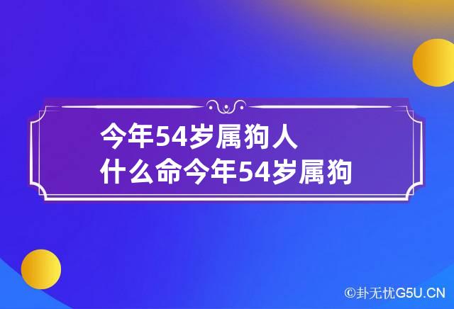 今年54岁属狗人什么命 今年54岁属狗人什么命格