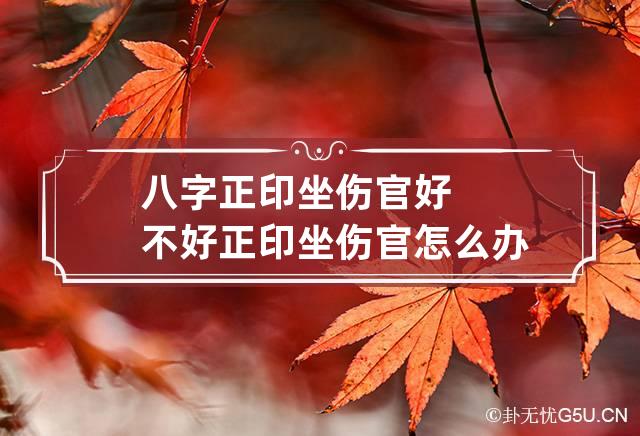 八字正印坐伤官好不好 正印坐伤官怎么办