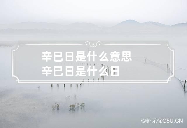 辛巳日是什么意思 辛巳日是什么日