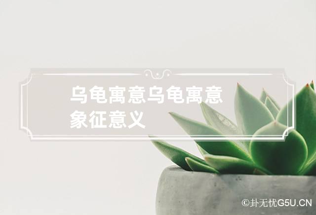 乌龟寓意 乌龟寓意象征意义