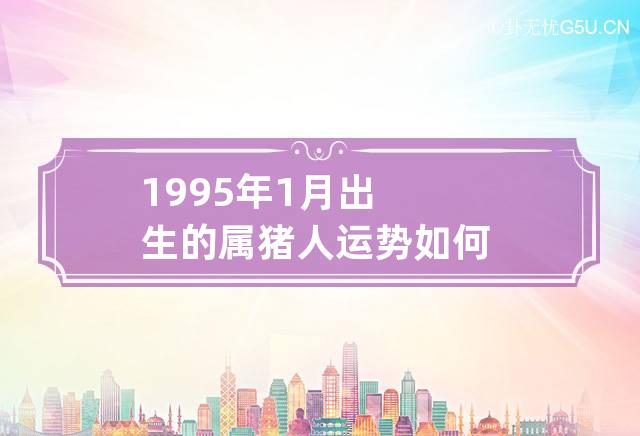 1995年1月出生的属猪人运势如何