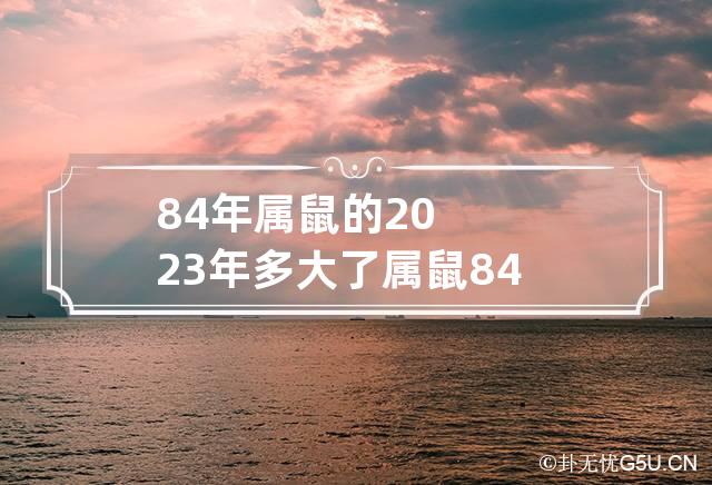 84年属鼠的2023年多大了 属鼠84年2023年怎么样