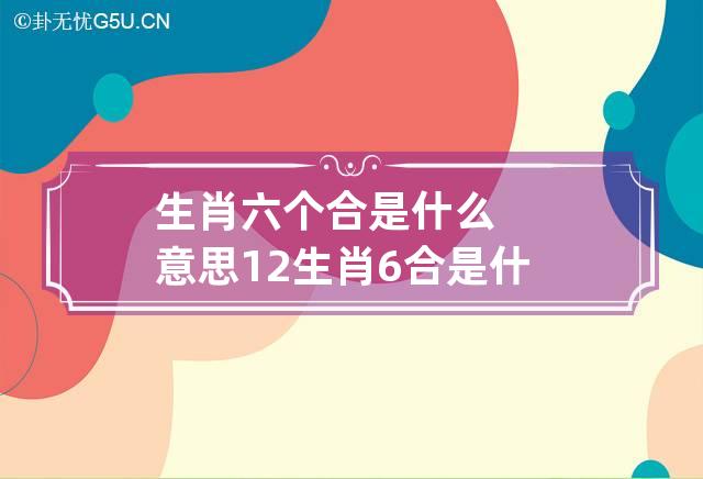 生肖六个合是什么意思 12生肖6合是什么意思