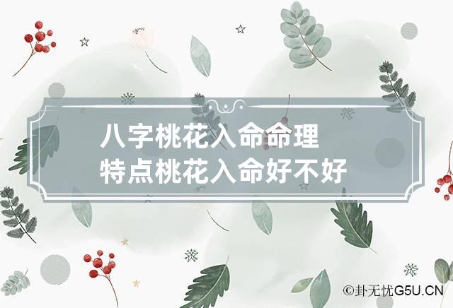 八字桃花入命命理特点 桃花入命好不好