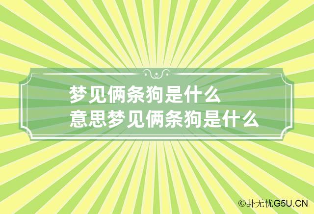 梦见俩条狗是什么意思 梦见俩条狗是什么意思呀