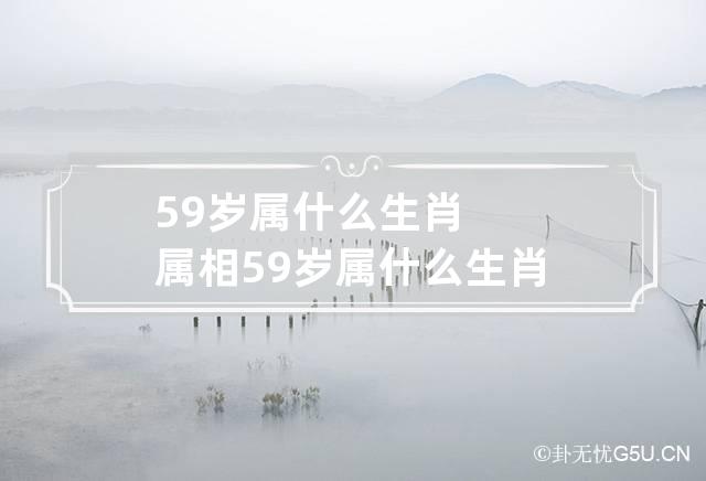 59岁属什么生肖属相 59岁属什么生肖属相最好呢