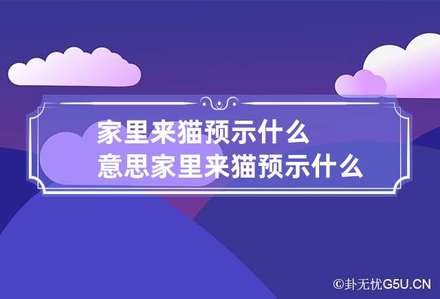 家里来猫预示什么意思 家里来猫预示什么意思叫两声