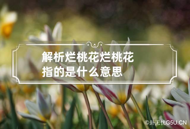 解析烂桃花 烂桃花指的是什么意思