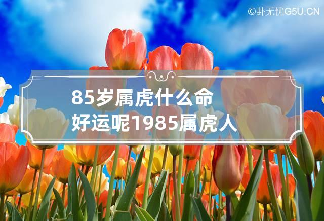 85岁属虎什么命好运呢 1985属虎人终身的三大坎