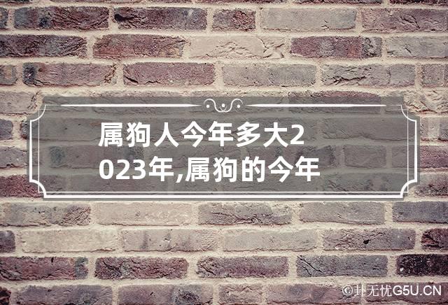 属狗人今年多大2023年,属狗的今年多少岁2023年兔年