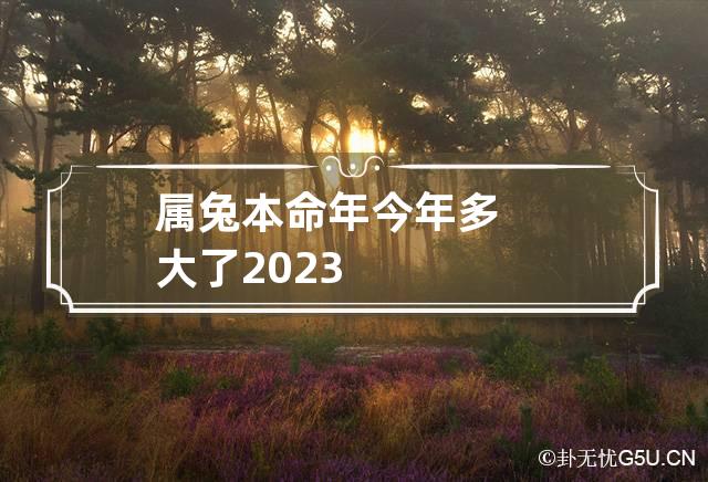 属兔本命年今年多大了2023