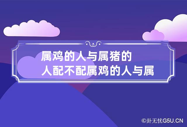 属鸡的人与属猪的人配不配 属鸡的人与属猪的人配不配呢