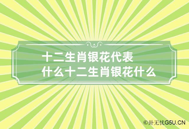 十二生肖银花代表什么 十二生肖银花什么生肖