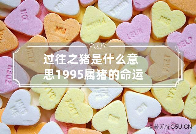 过往之猪是什么意思 1995属猪的命运与婚姻