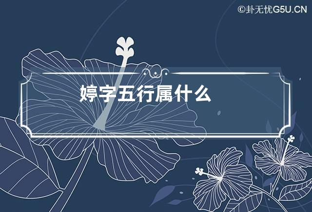 婷字五行属什么