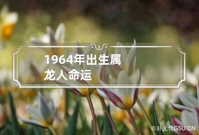 1964年出生属龙人命运