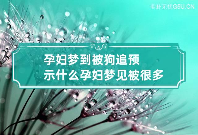 孕妇梦到被狗追预示什么 孕妇梦见被很多狗追