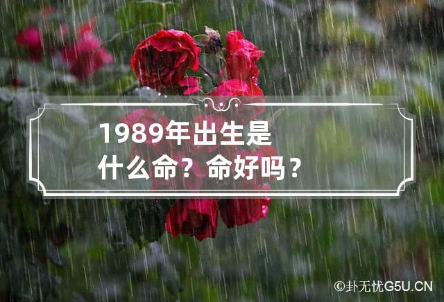 1989年出生是什么命？命好吗？