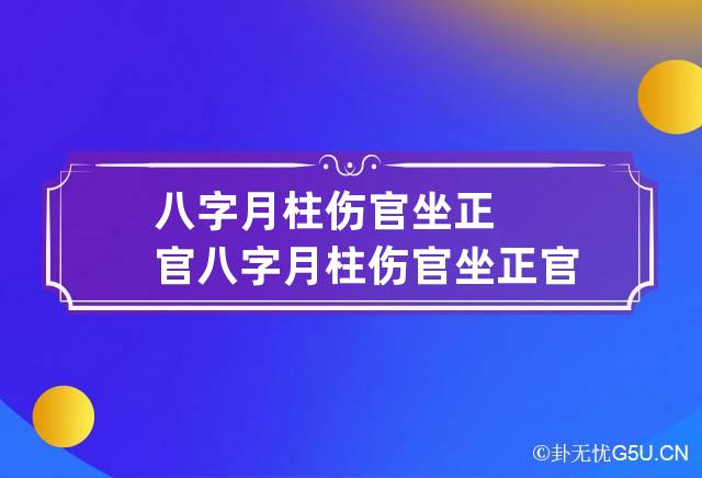 八字月柱伤官坐正官 八字月柱伤官坐正官女命