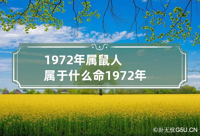 1972年属鼠人属于什么命 1972年属鼠的是啥命