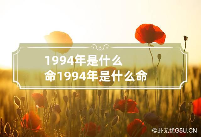 1994年是什么命1994年是什么命卦