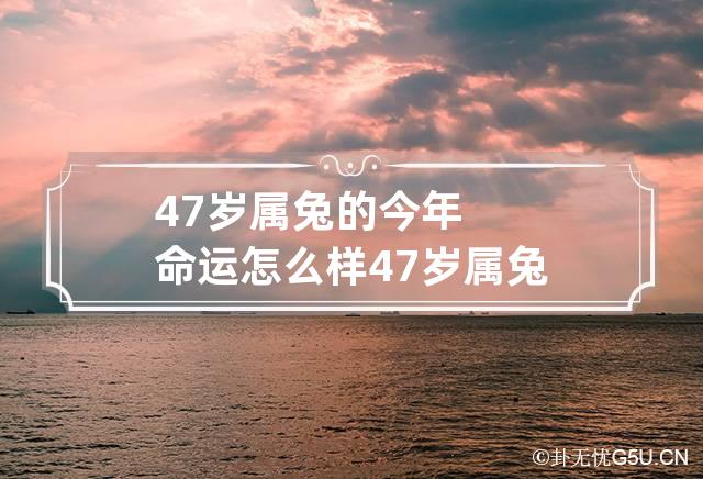 47岁属兔的今年命运怎么样 47岁属兔今年运势如何