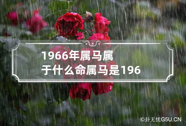 1966年属马属于什么命 属马是1966年什么命