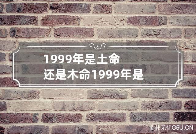 1999年是土命还是木命 1999年是土命吗