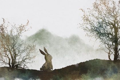 75年属兔人的一生命运 能安享天伦之乐