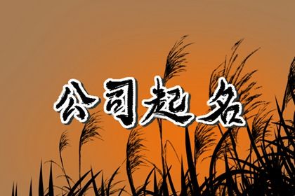 医药公司名字高端大气 吉祥好听的医药公司名字